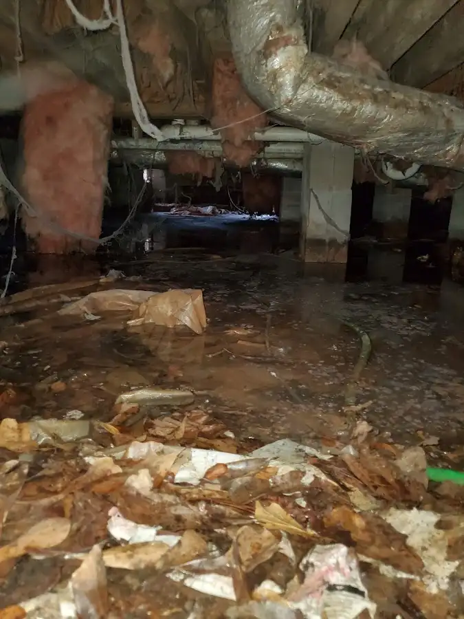 Crawl space flood assessment for Leak Detection & Repair in Las Flores