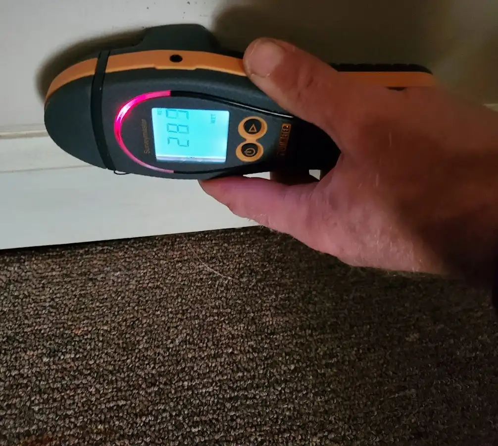 Moisture detection at baseboard during Mold Inspection & Testing in Las Flores